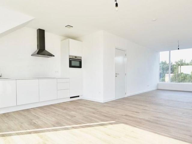Appartement location à Hamme, Oost-Vlaanderen