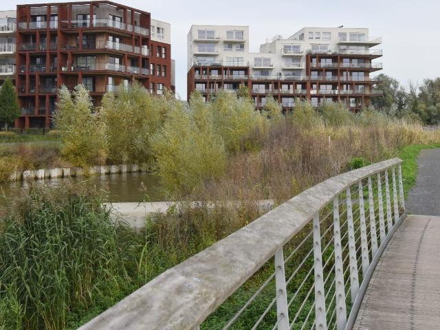 Appartement location à Oostwijk, Harelbeke
