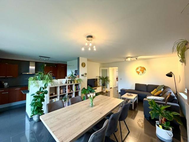 Appartement location à Katarina, Hasselt