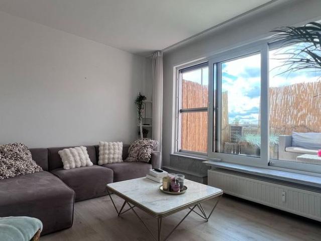 Appartement location à Hasselt, Limburg