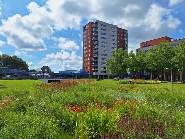 Appartement te huur in Friesland