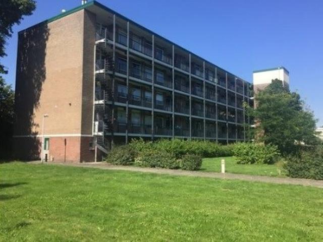 Appartement te huur in Noord Holland