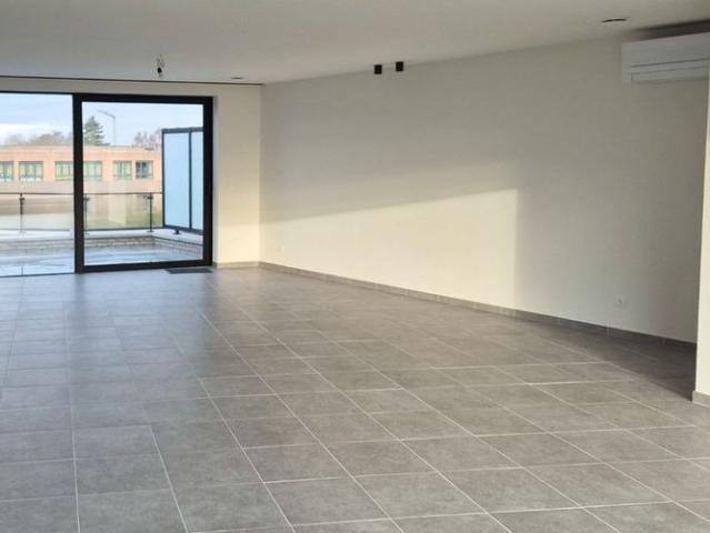 Appartement location à Kinrooi, Limburg