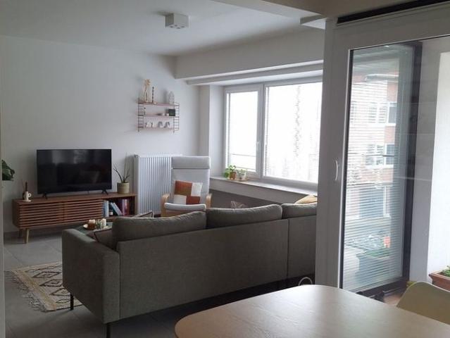 Appartement location à Courtrai, West-Vlaanderen