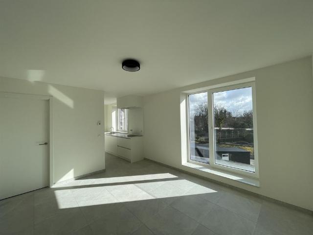 Appartement location à Lede
