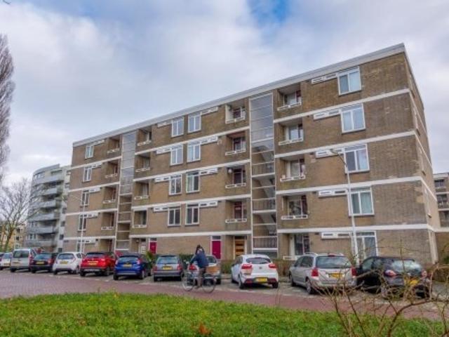 Appartement te huur in Zuid Holland