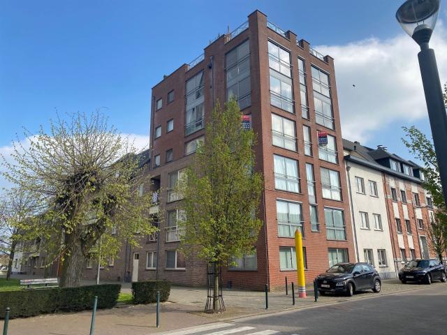 Appartement location à Liezel, Antwerpen