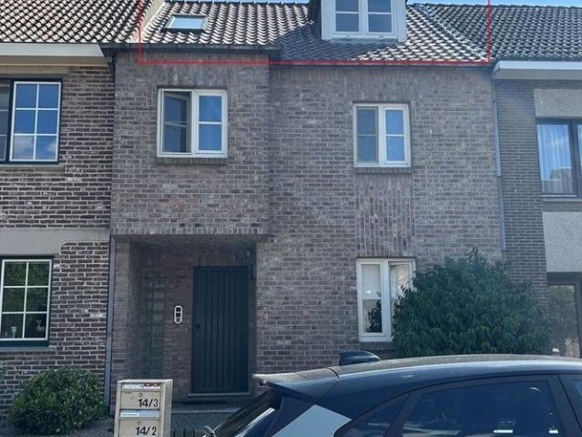 Appartement location à Maaseik, Limburg