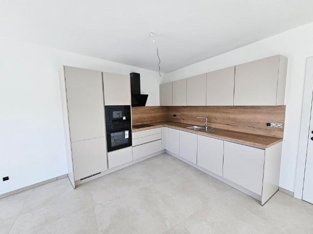 Appartement location à Maasmechelen, Limburg
