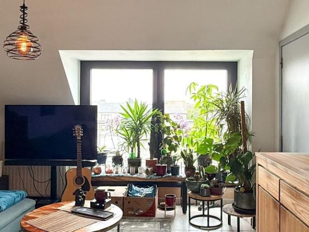 Appartement location à Melsele, Oost-Vlaanderen