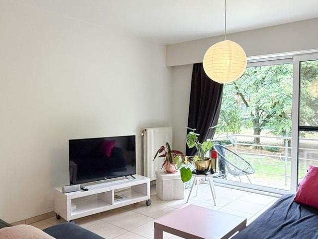 Appartement location à Melsele, Oost-Vlaanderen
