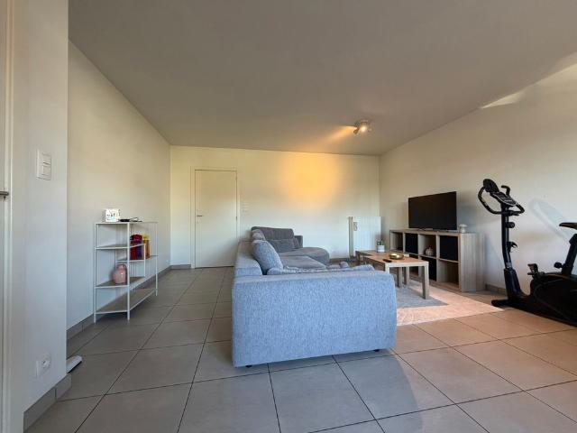 Appartement location à Mol