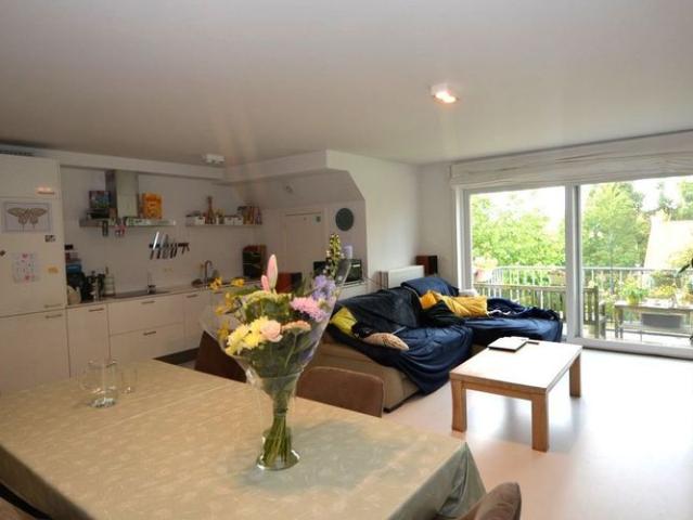 Appartement location à Ranst, Antwerpen