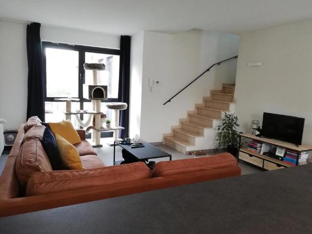 Appartement location à Olen