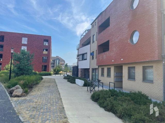 Appartement location à Overpelt, Limburg