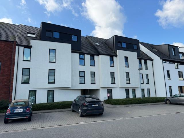 Appartement location à Puers, Antwerpen