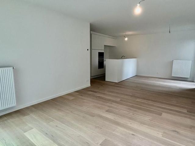 Appartement location à Renaix, Oost-Vlaanderen