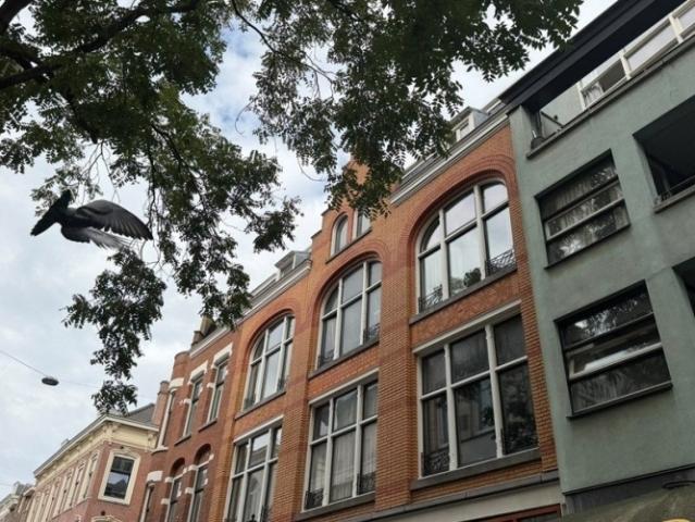Appartement te huur in Rotterdam