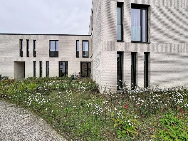 Appartement location à Rupelmonde, Oost-Vlaanderen