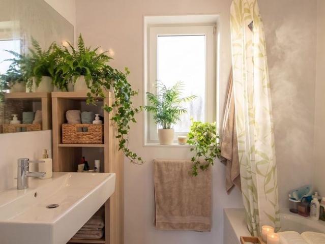 Appartement location à Schaarbeek, Bruxelles