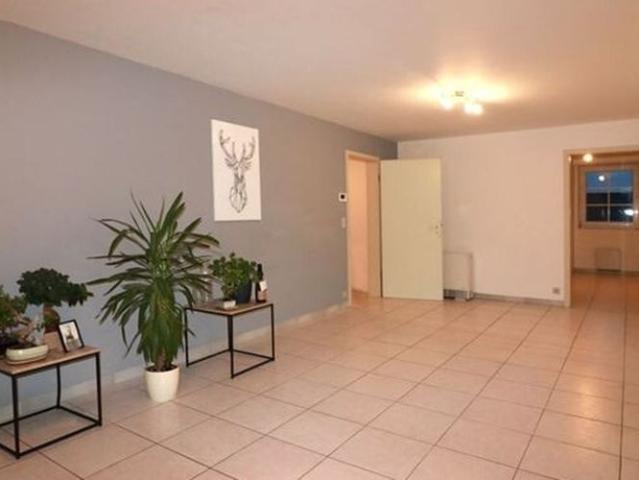 Appartement location à Montaigu-zichem, Brabant