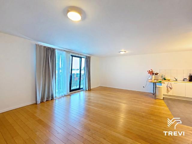 Appartement location à Woluwe-Saint-Lambert - Sint-Lambrechts-Woluwe, Brussel-Hoofdstad - Bruxelles-Capitale