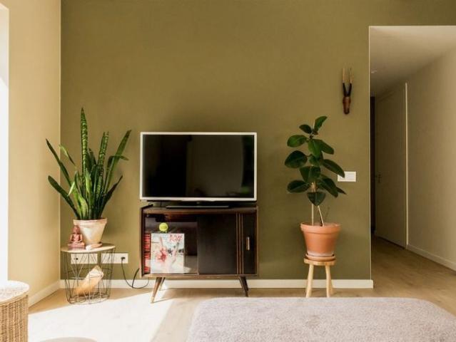 Appartement location à Sint-niklaas, Oost-Vlaanderen