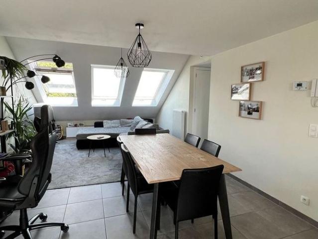 Appartement location à Sint-niklaas, Oost-Vlaanderen
