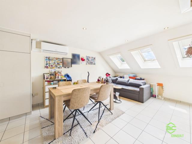 Appartement location à Sint-Truiden