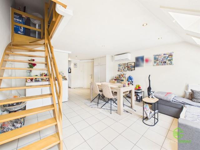 Appartement location à Sint-Truiden