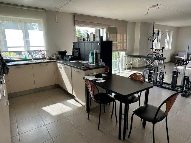 Appartement location à Temse