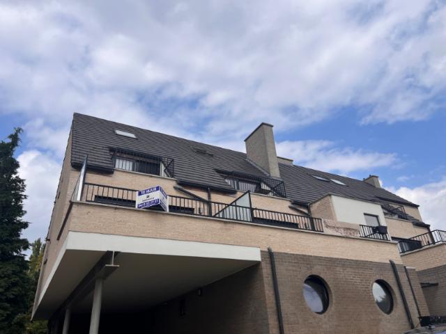 Appartement location à Tamise, Oost-Vlaanderen