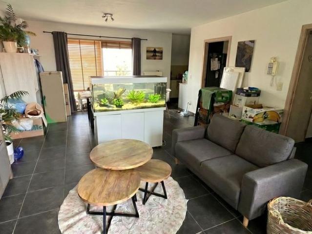 Appartement location à Tamise, Oost-Vlaanderen