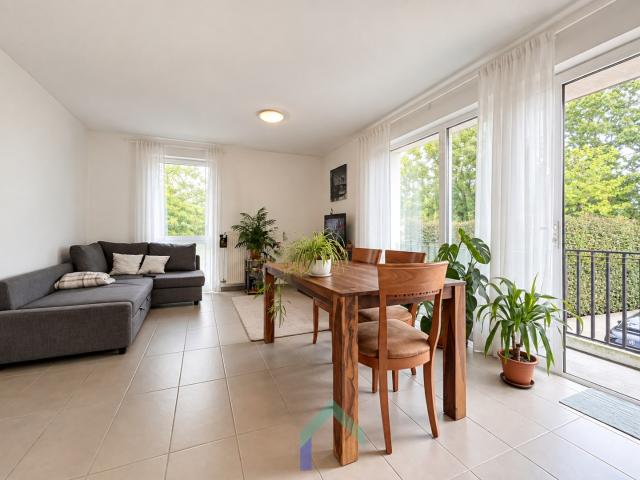 Appartement location à Tielt, West-Vlaanderen
