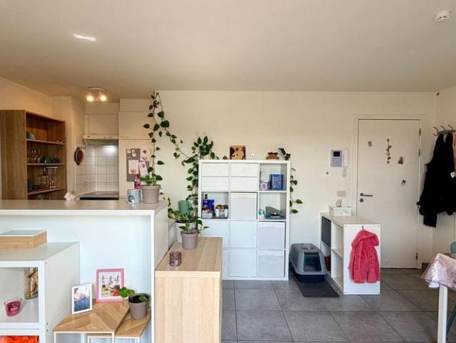 Appartement location à Tielt, West-Vlaanderen