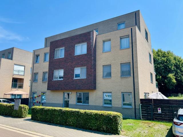Appartement location à Tienen, Brabant