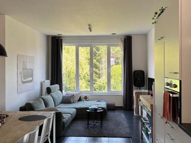Appartement location à Tienen, Brabant