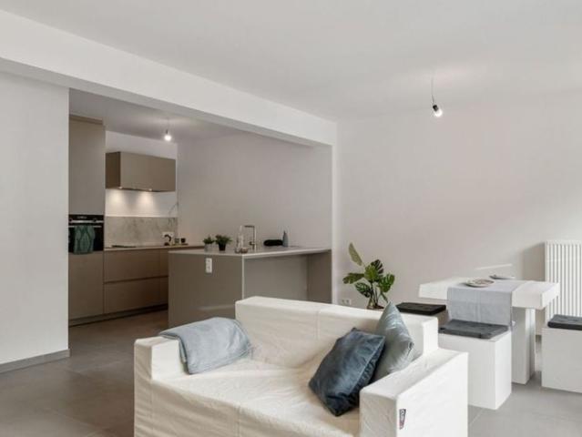 Appartement location à Tienen, Brabant