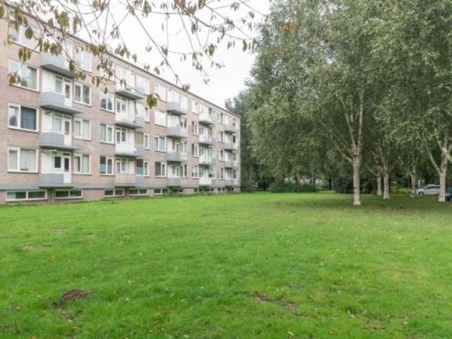 Appartement te huur in Noord Brabant