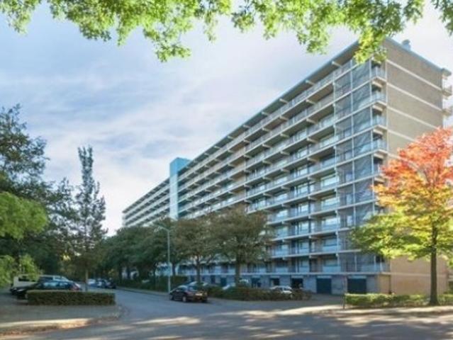 Appartement te huur in Limburg
