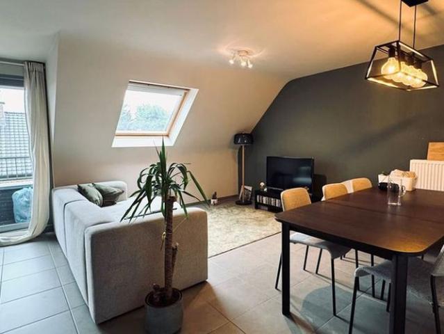 Appartement location à Vrasene, Oost-Vlaanderen