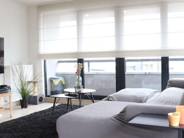 Appartement location à Wetteren, Oost-Vlaanderen