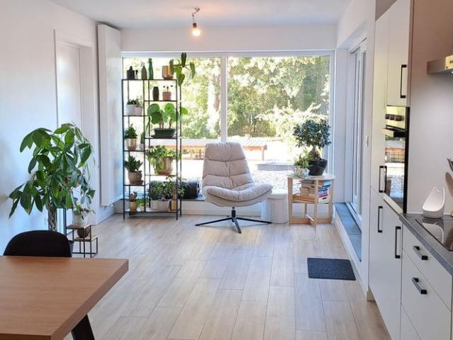 Appartement location à Haelen, Limburg