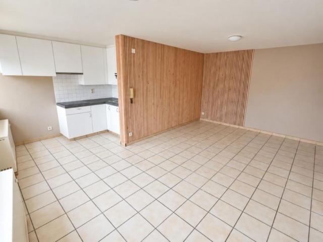 Appartement location à Zottegem, Oost-Vlaanderen