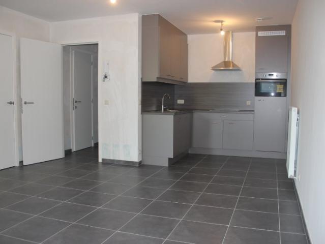 Appartement location à De Kop, Lokeren