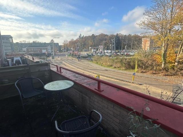 Appartement te huur in Assen