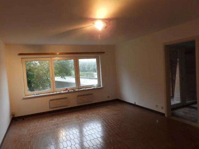 Appartement location à Halen