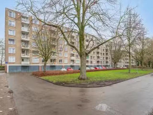 Appartement te koop in Limburg