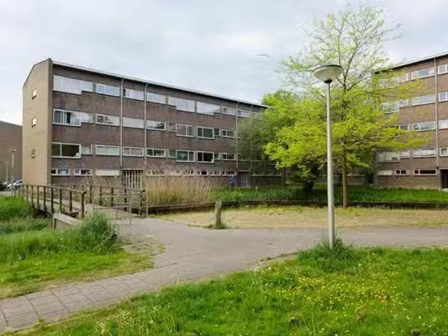 Appartement te koop in Oost, Amsterdam
