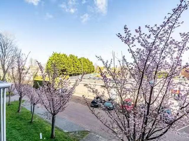 Appartement te koop in Zuid Holland